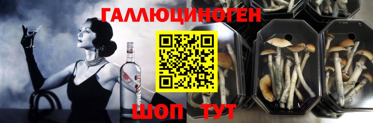 Углич  Псилоцибиновые грибы ЛСД  Вход с VPN 